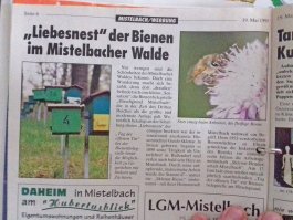 Zeitung Liebesnest Bienen Mistelbacher Wald